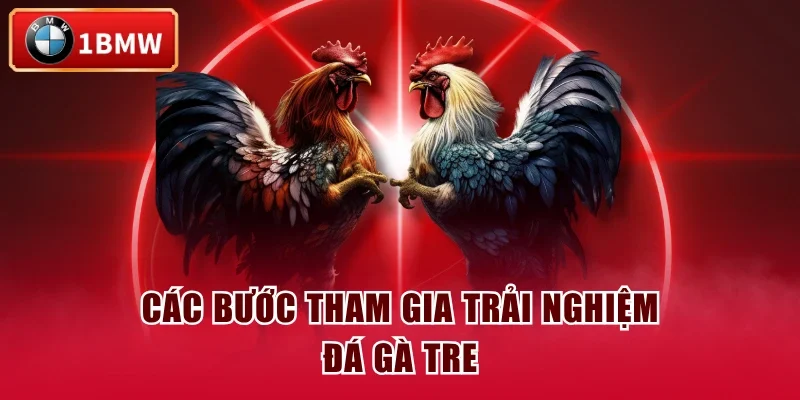 Các bước tham gia trải nghiệm đá gà tre Các bước tham gia trải nghiệm đá gà tre