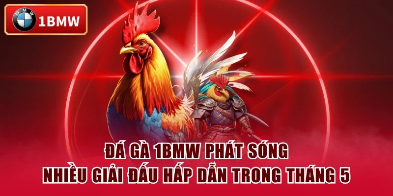 Đá gà 1BMW phát sóng nhiều giải đấu hấp dẫn trong tháng 5