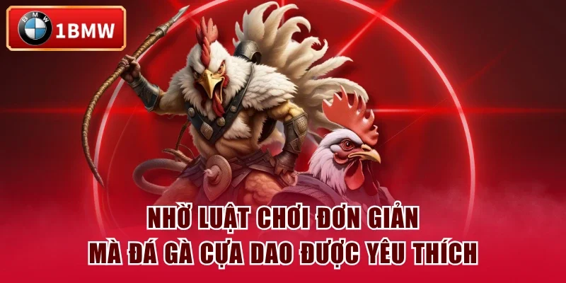 Nhờ luật chơi đơn giản mà đá gà cựa dao được yêu thích